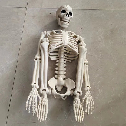 Adjustable Skeleton Decoration